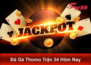 Đá gà thomo trận 34 hôm nay